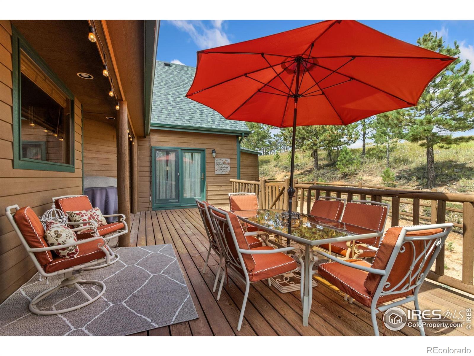 98 Deadhorse Mountain Court Livermore CO 80536