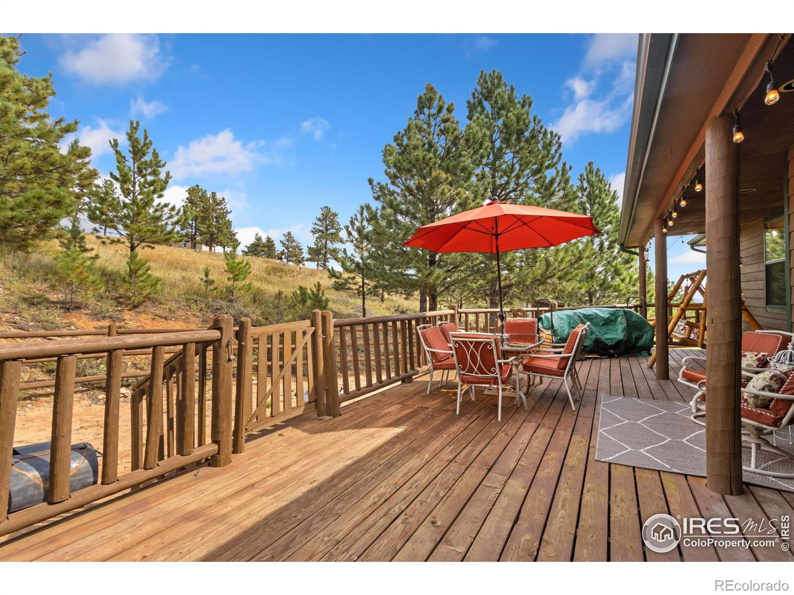98 Deadhorse Mountain Court Livermore CO 80536