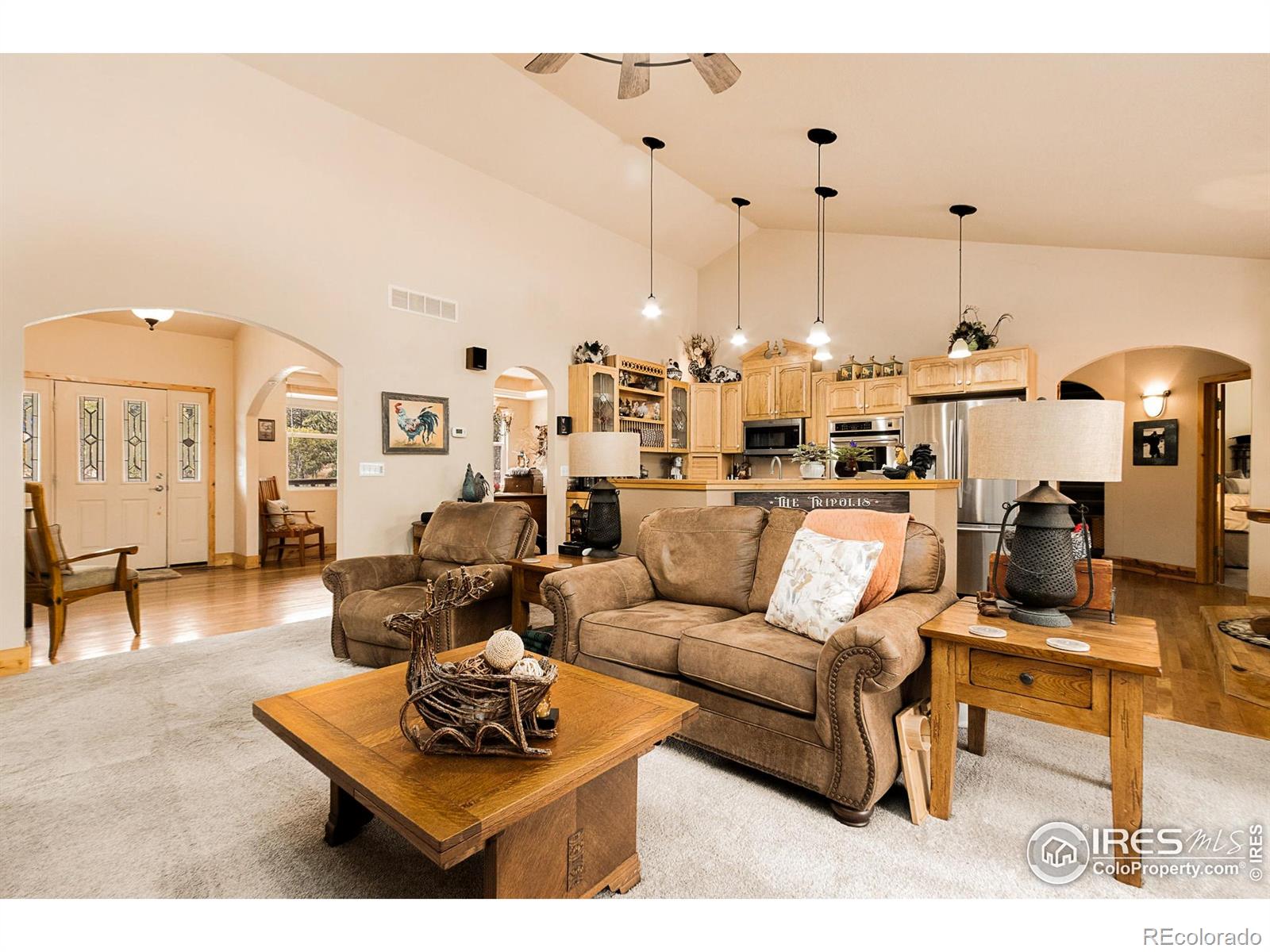 98 Deadhorse Mountain Court Livermore CO 80536