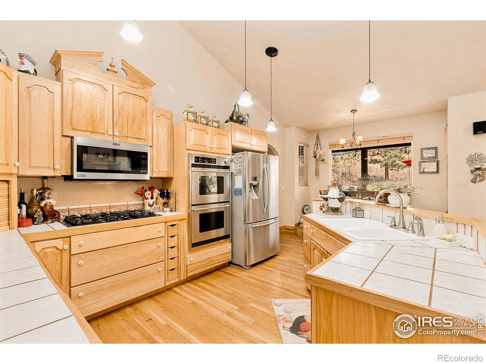 98 Deadhorse Mountain Court Livermore CO 80536