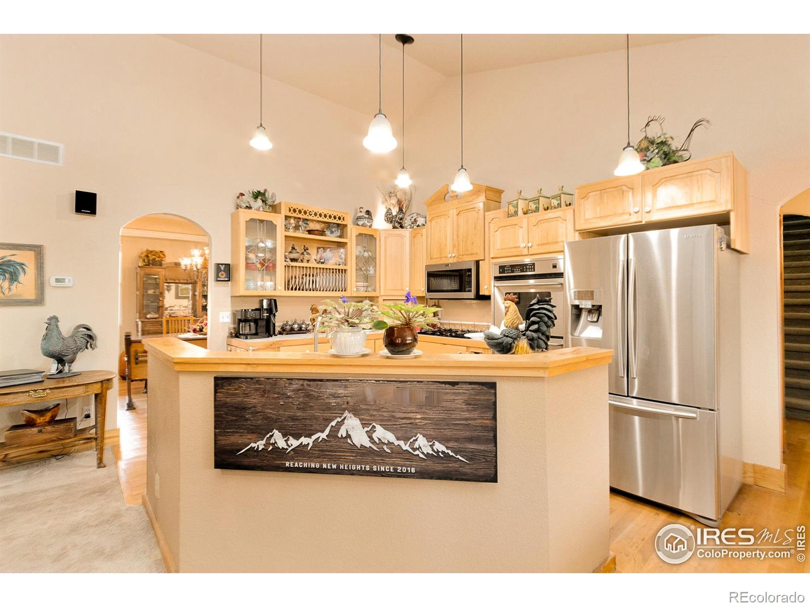 98 Deadhorse Mountain Court Livermore CO 80536