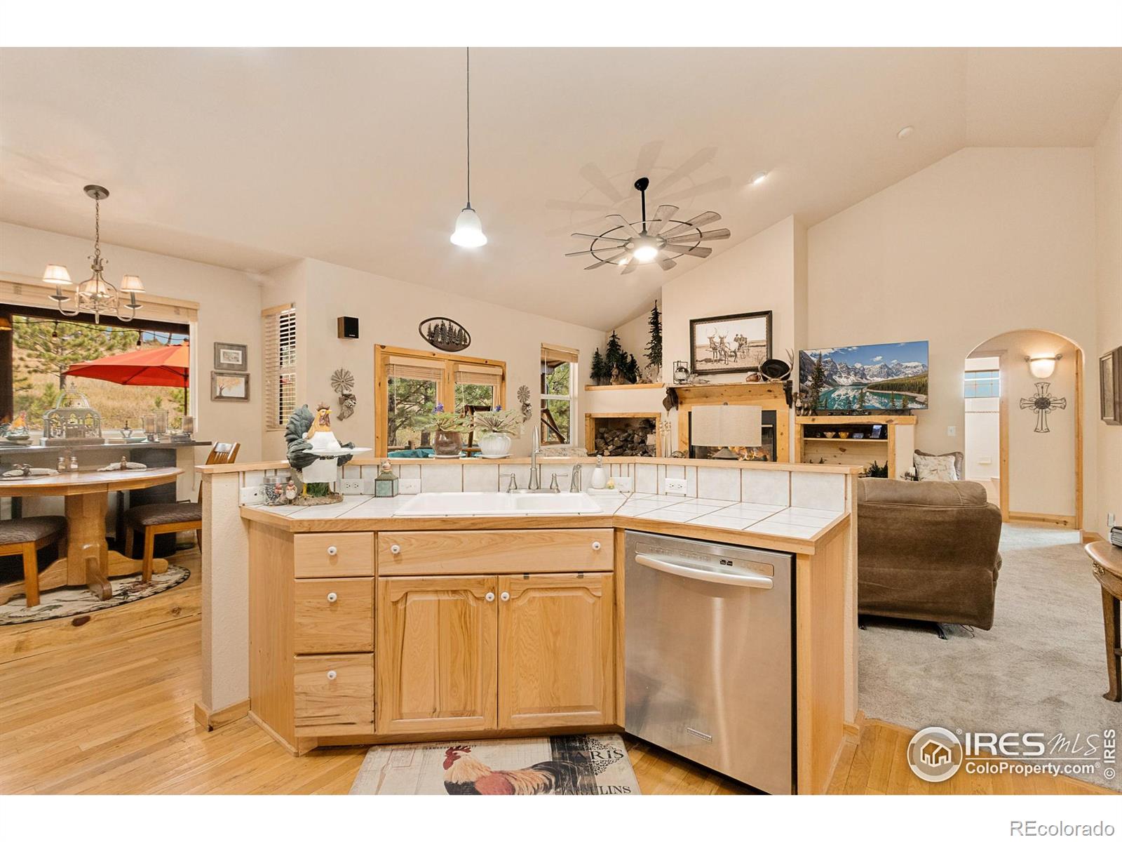 98 Deadhorse Mountain Court Livermore CO 80536