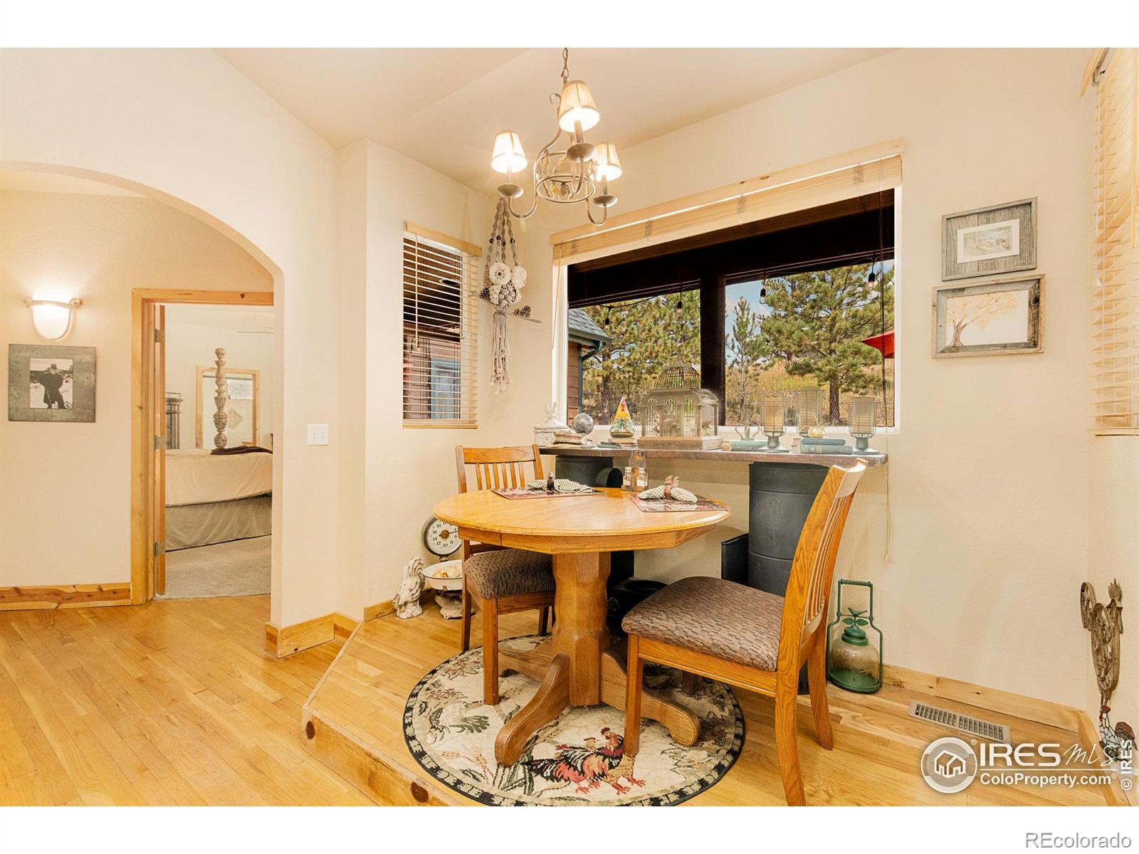 98 Deadhorse Mountain Court Livermore CO 80536