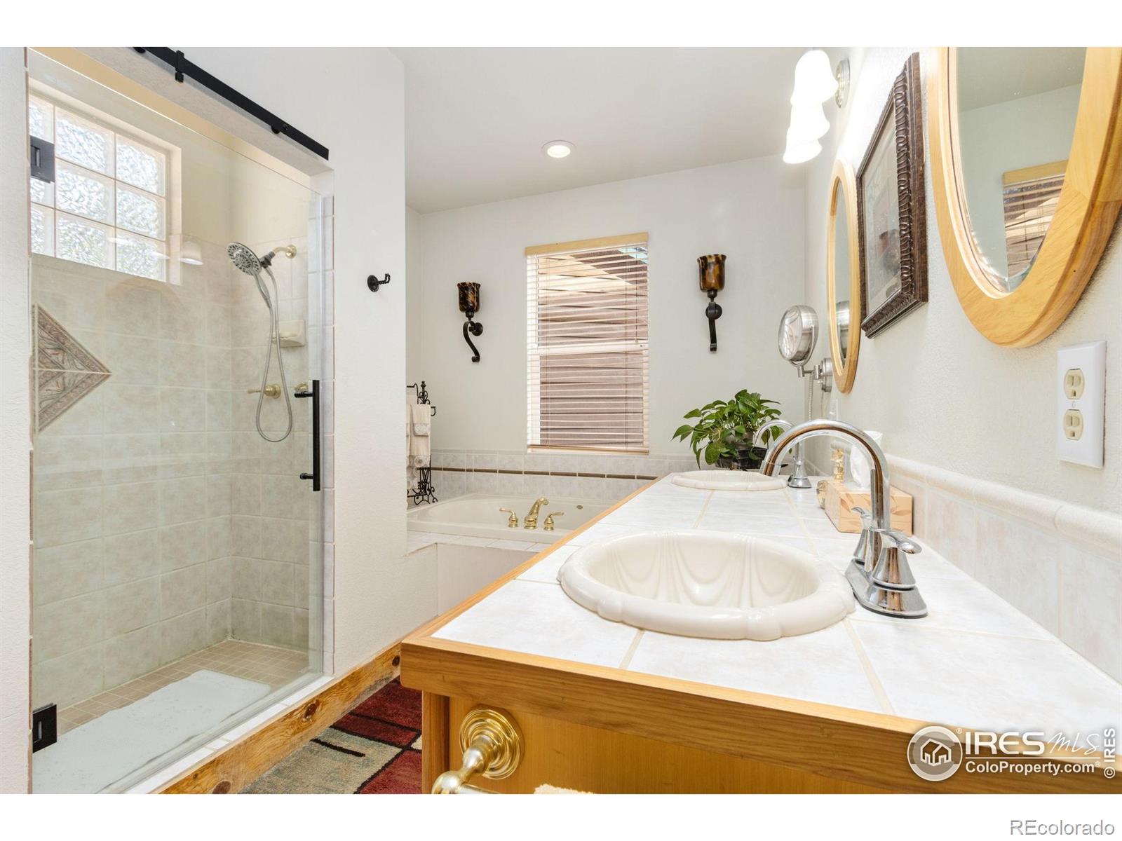 98 Deadhorse Mountain Court Livermore CO 80536