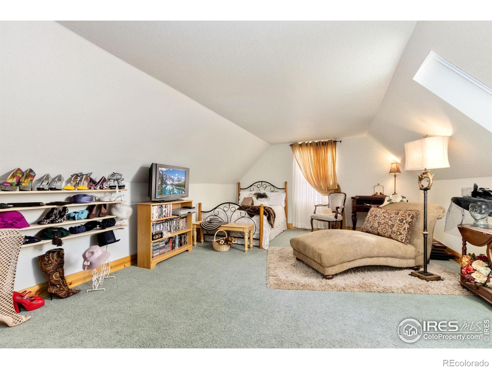 98 Deadhorse Mountain Court Livermore CO 80536