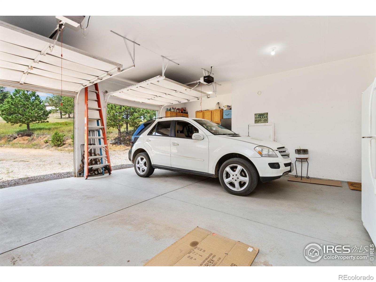 98 Deadhorse Mountain Court Livermore CO 80536