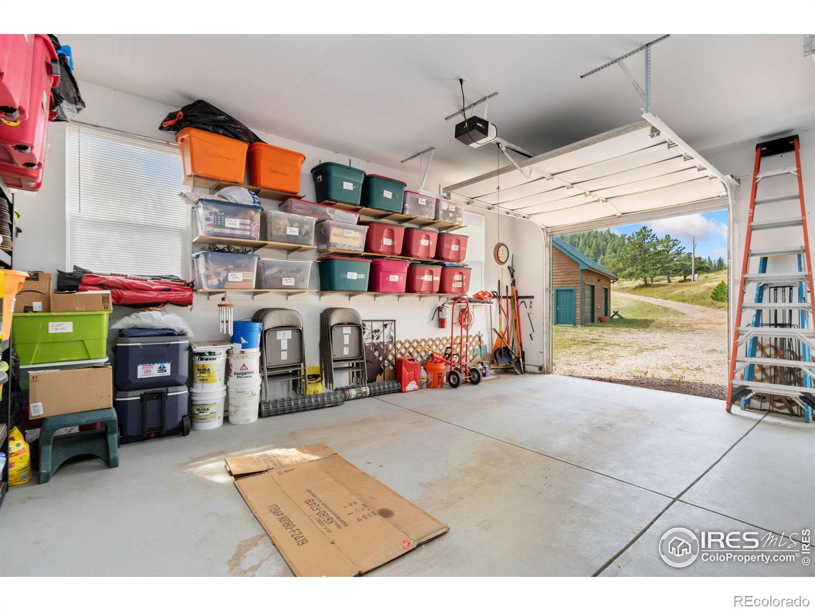 98 Deadhorse Mountain Court Livermore CO 80536