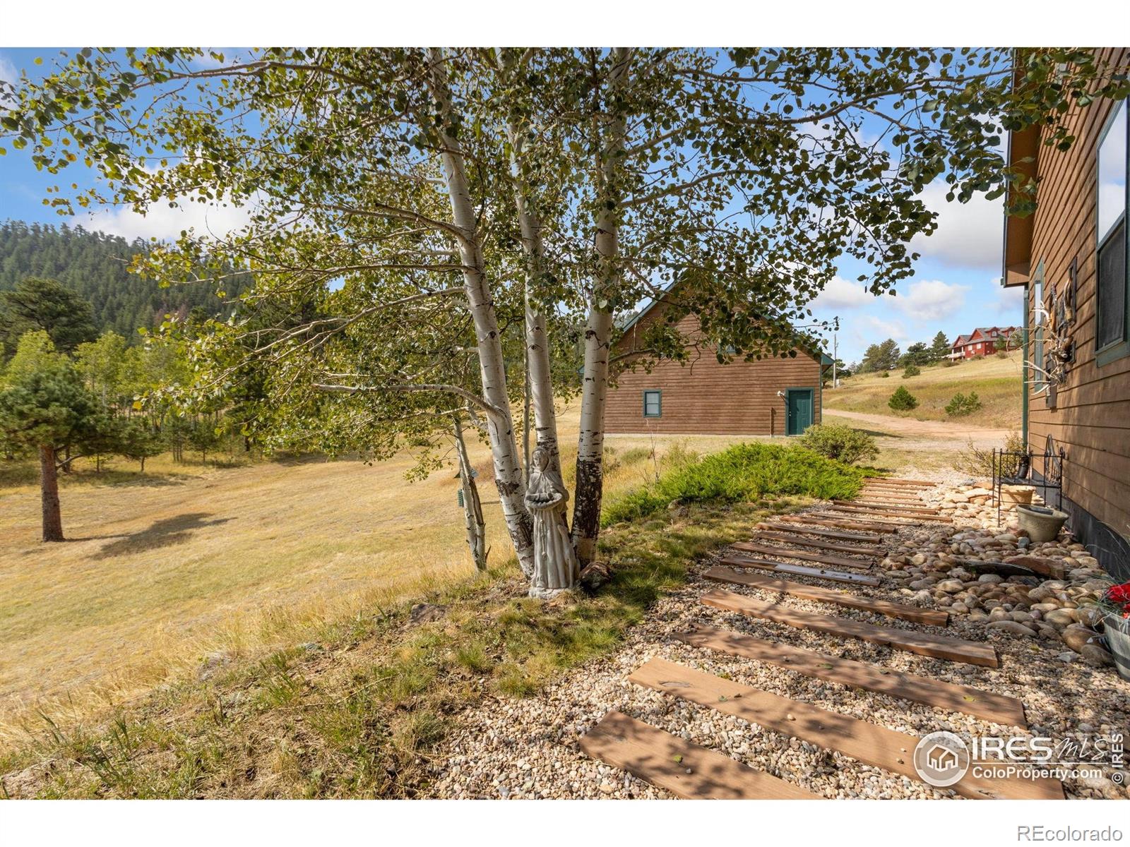 98 Deadhorse Mountain Court Livermore CO 80536