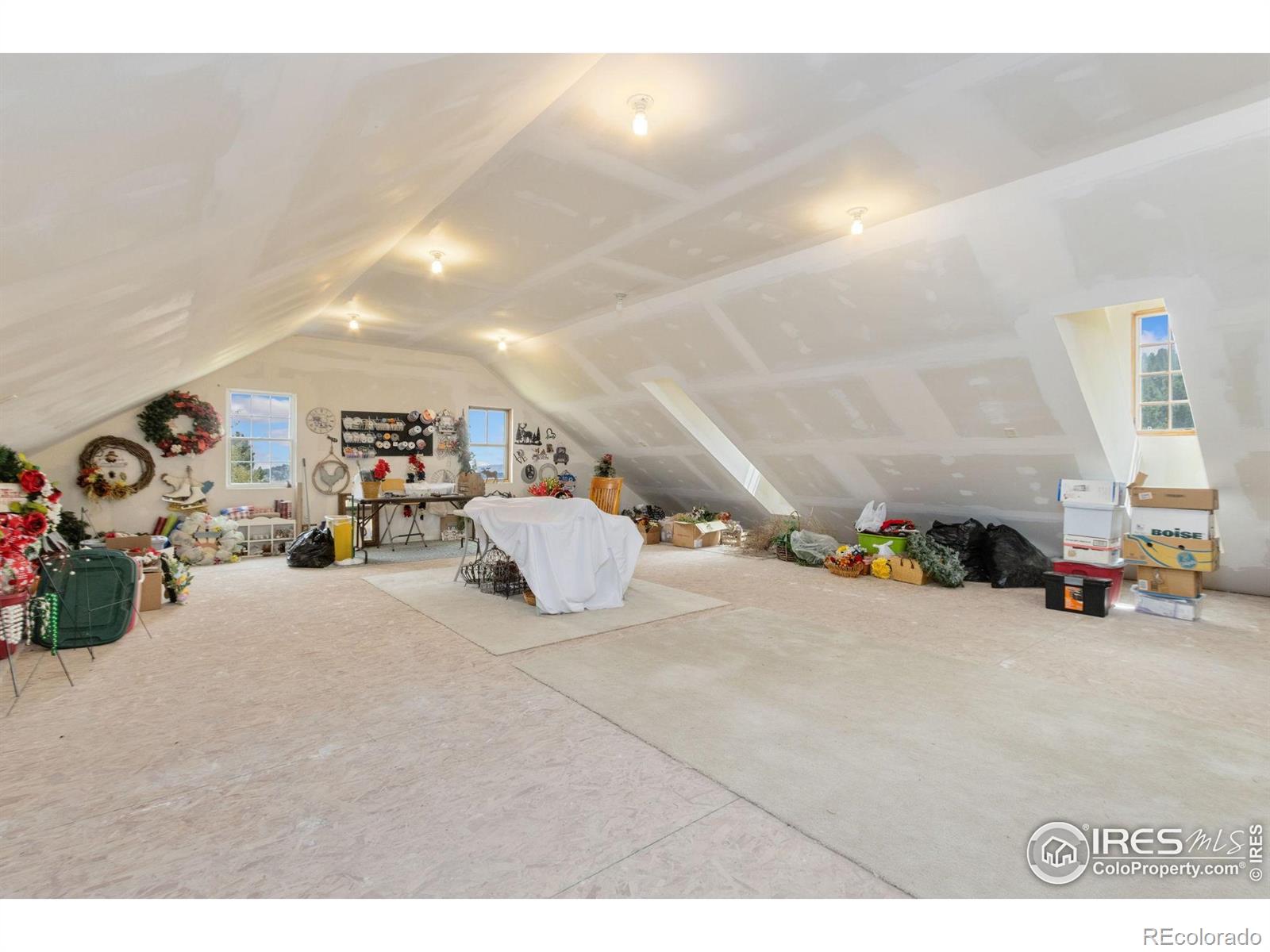 98 Deadhorse Mountain Court Livermore CO 80536