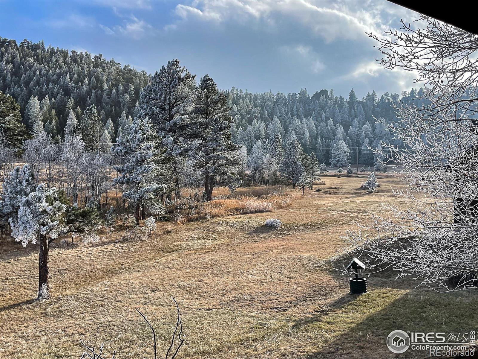 98 Deadhorse Mountain Court Livermore CO 80536