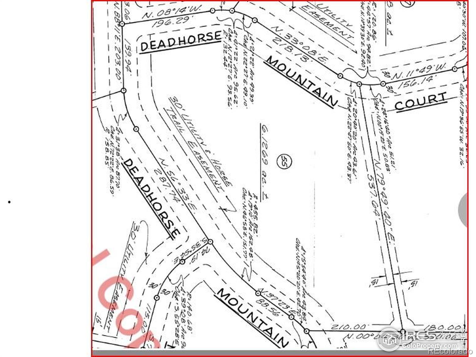 98 Deadhorse Mountain Court Livermore CO 80536