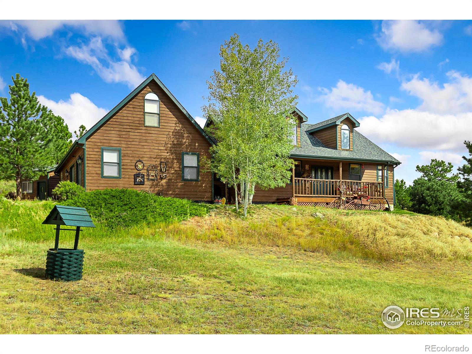 98 Deadhorse Mountain Court Livermore CO 80536