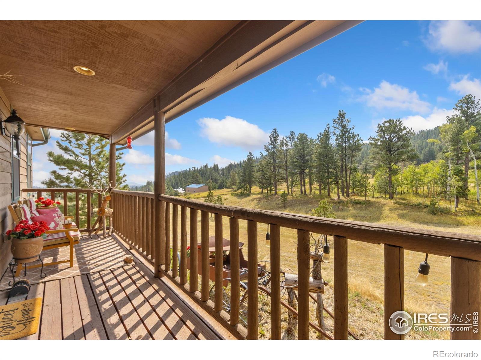 98 Deadhorse Mountain Court Livermore CO 80536