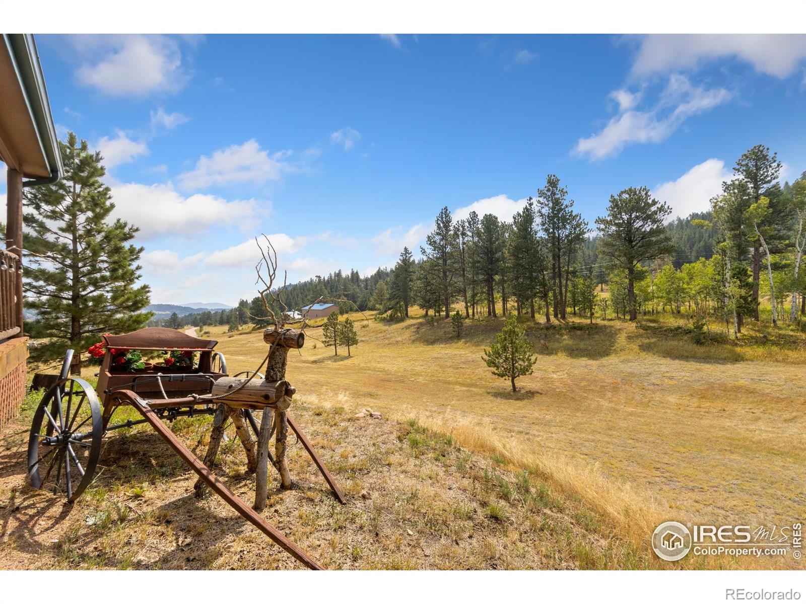 98 Deadhorse Mountain Court Livermore CO 80536