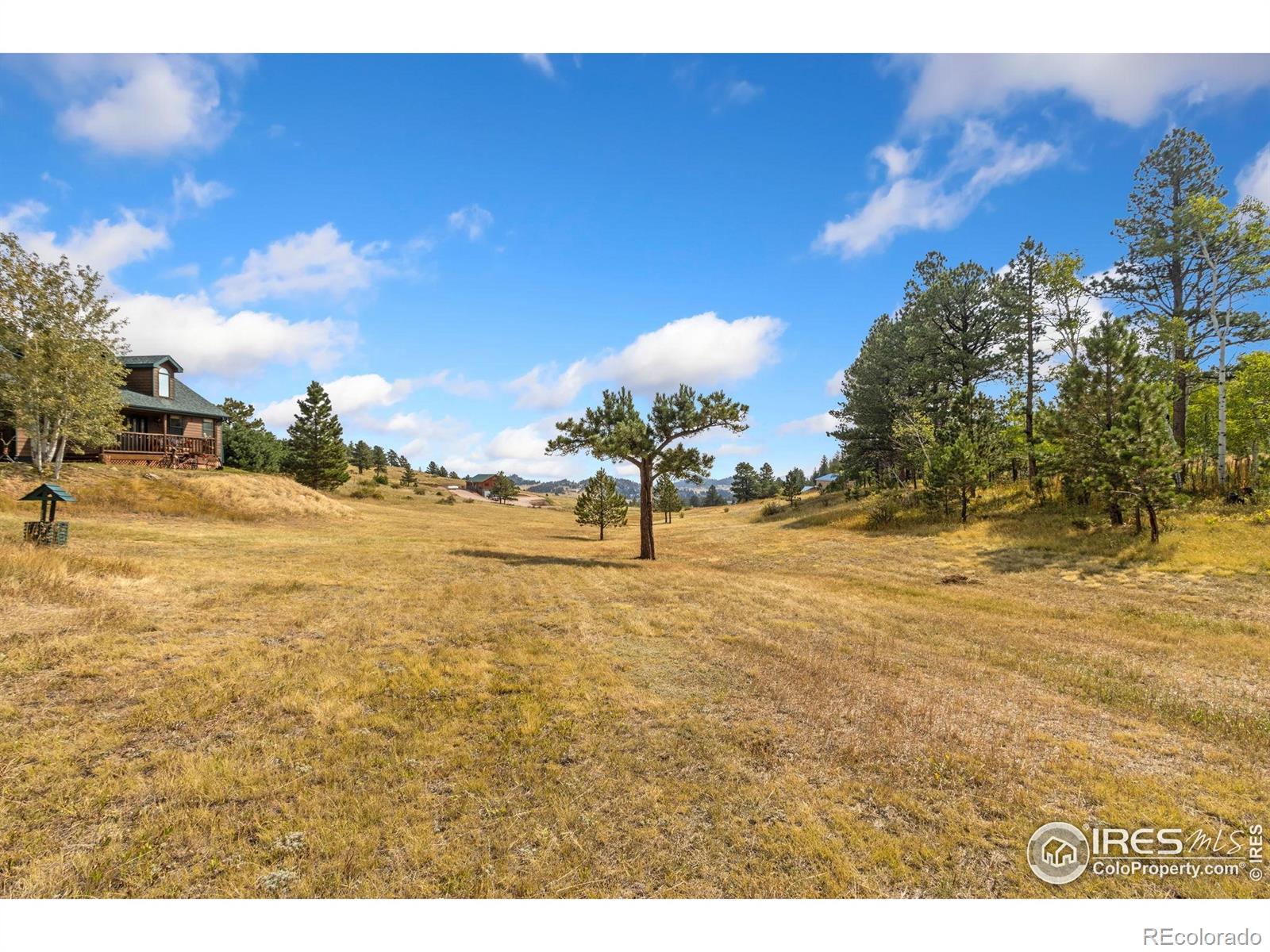 98 Deadhorse Mountain Court Livermore CO 80536