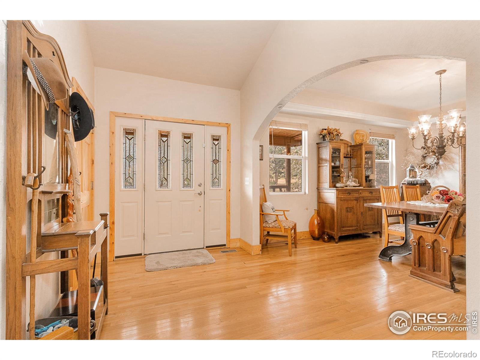 98 Deadhorse Mountain Court Livermore CO 80536