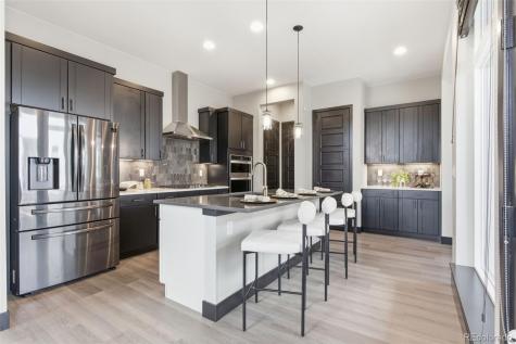 21412 E 61st Drive Aurora CO 80019