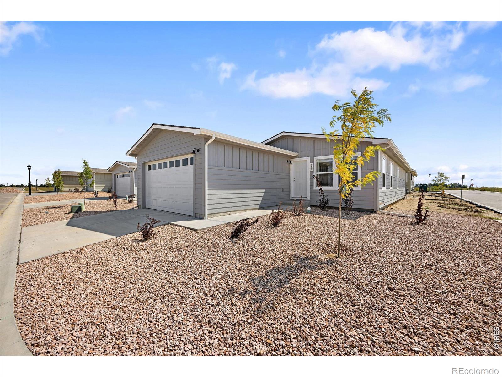 4277 Gaslamp Drive Loveland CO 80537