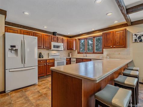 7990 Tim Tam Trail Evergreen CO 80439