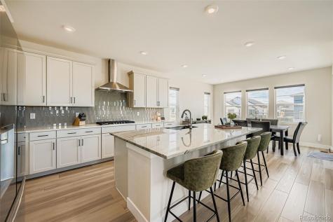 3391 N Haleyville Court Aurora CO 80019