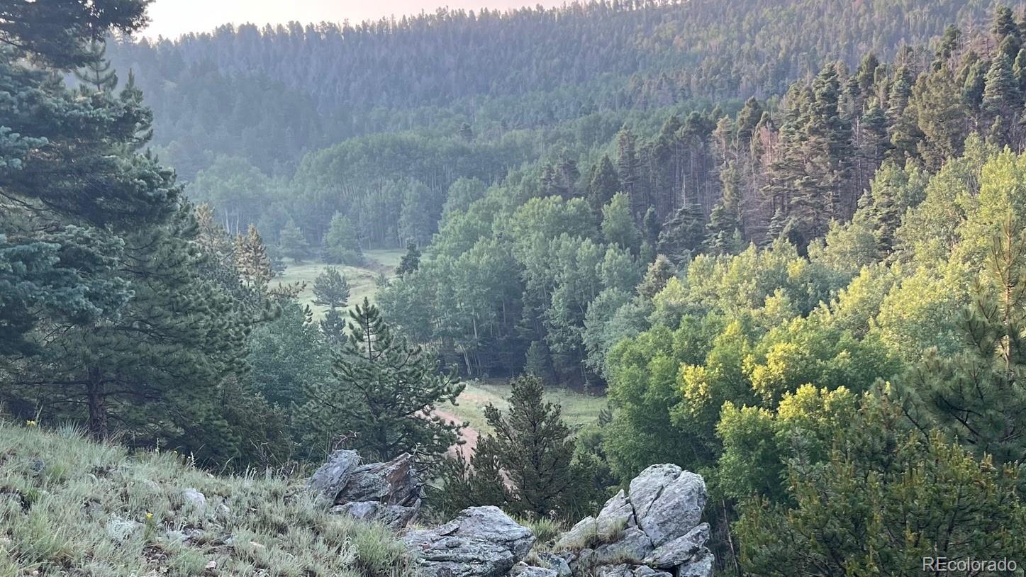 1716 County Road 327 Westcliffe CO 81252