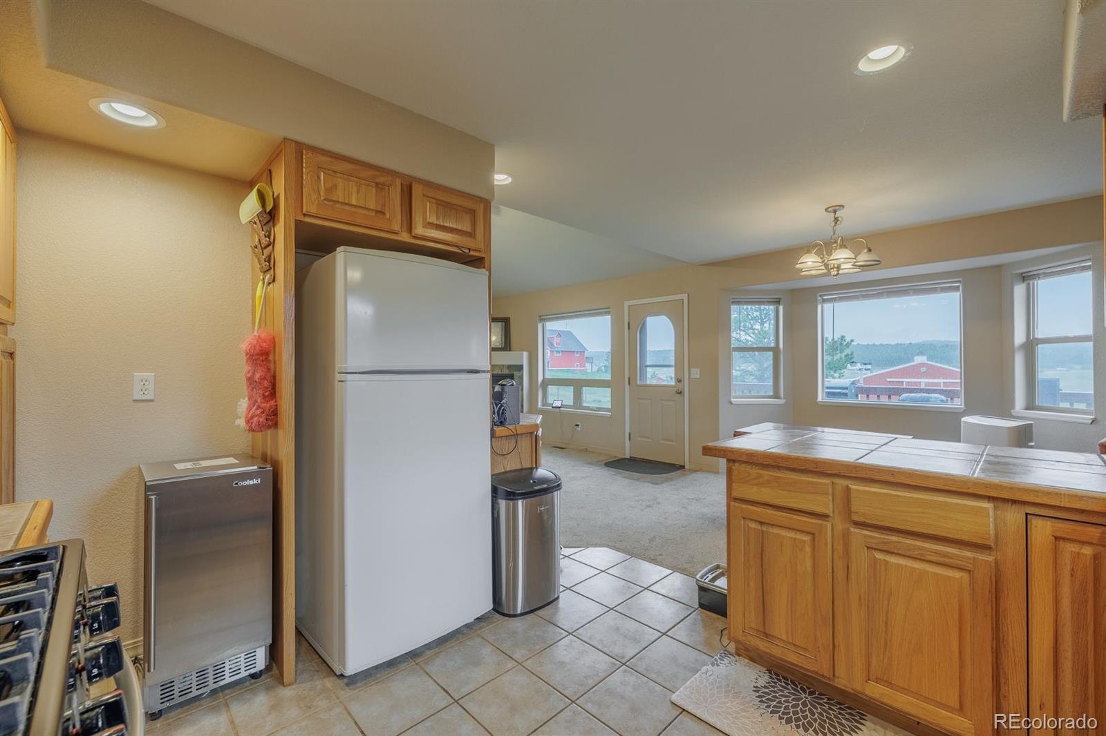 471 Duesouth Road Florissant CO 80816
