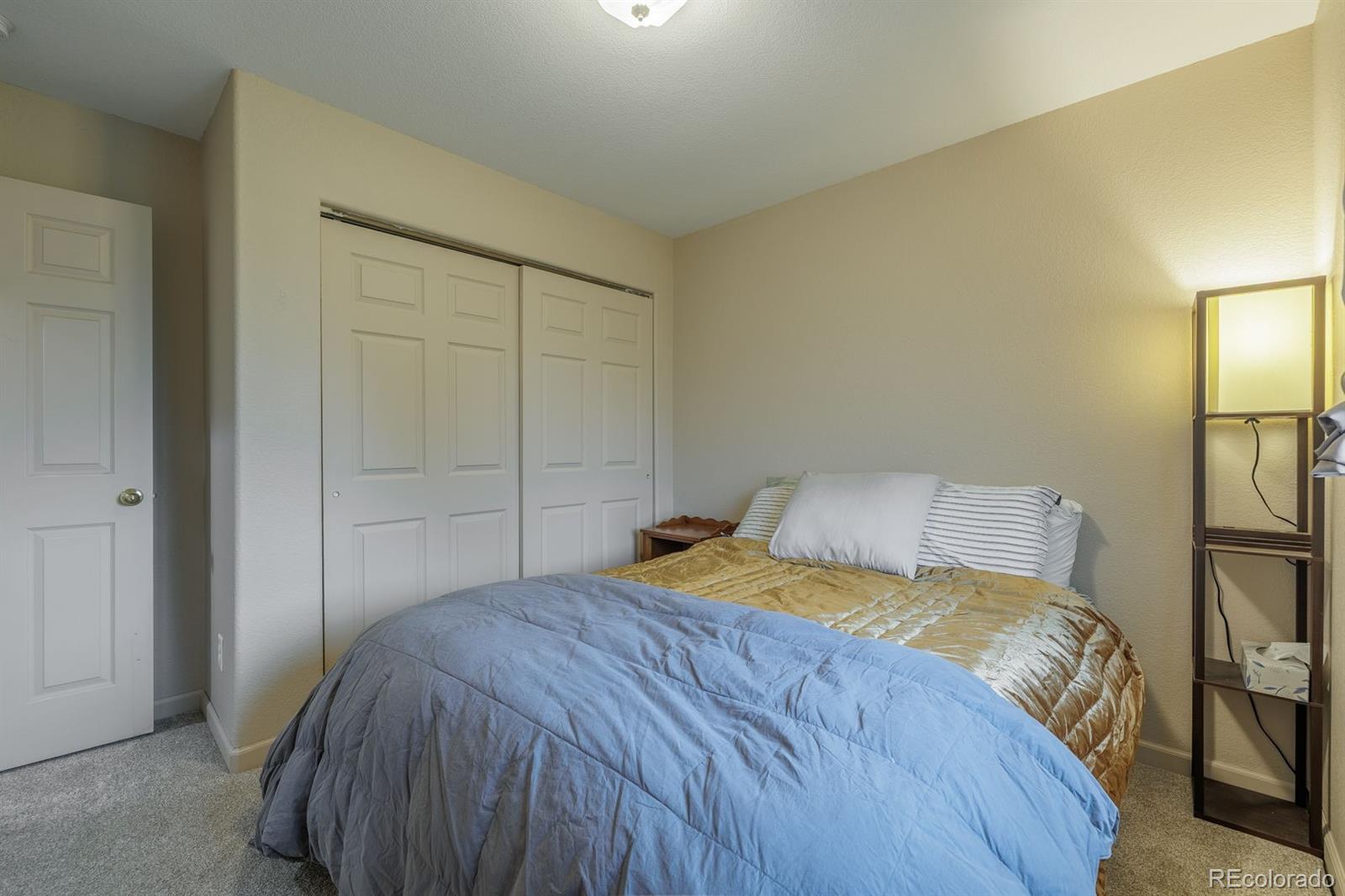 471 Duesouth Road Florissant CO 80816