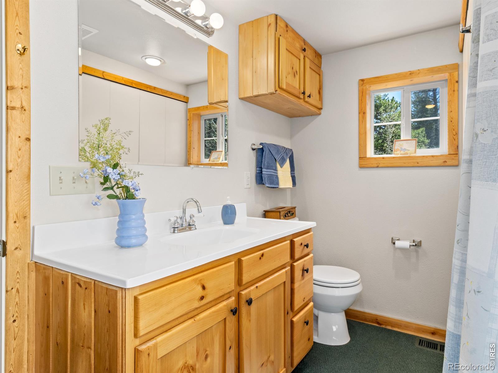 131 County Road 90 Allenspark CO 80510