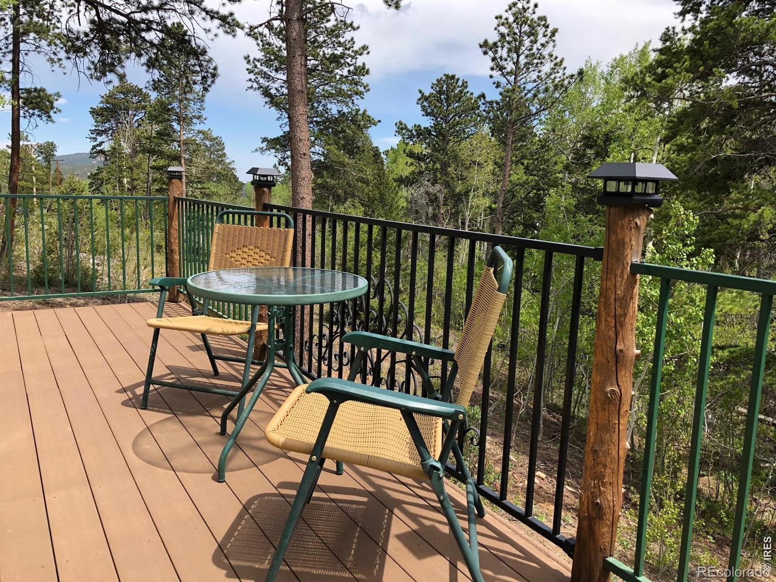 131 County Road 90 Allenspark CO 80510
