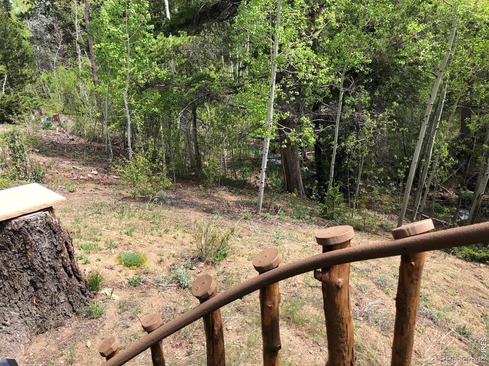 131 County Road 90 Allenspark CO 80510