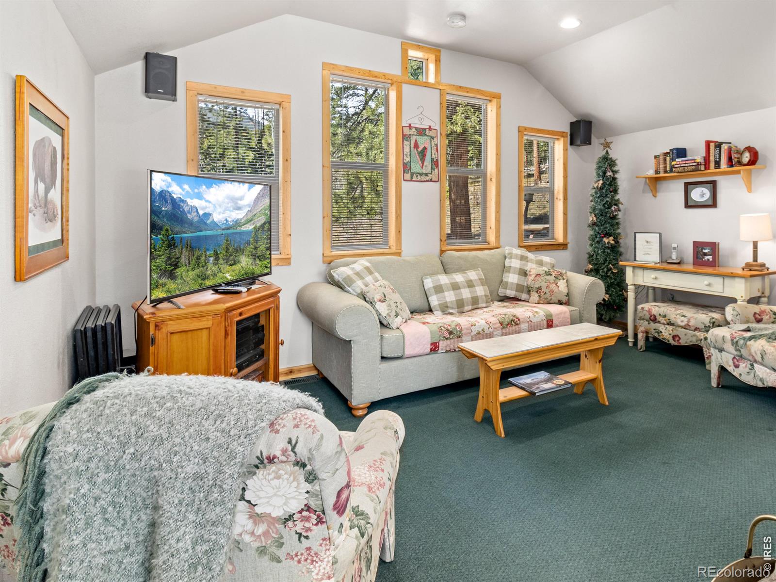 131 County Road 90 Allenspark CO 80510