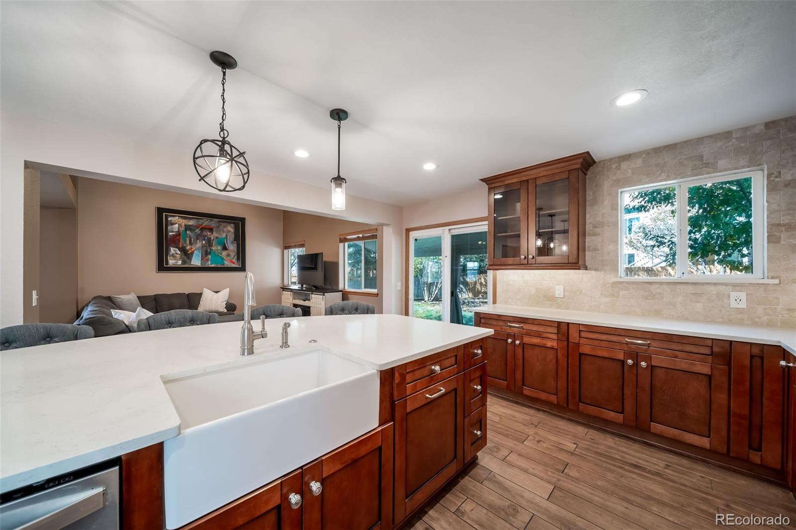 11217 Vilas Street Parker CO 80134