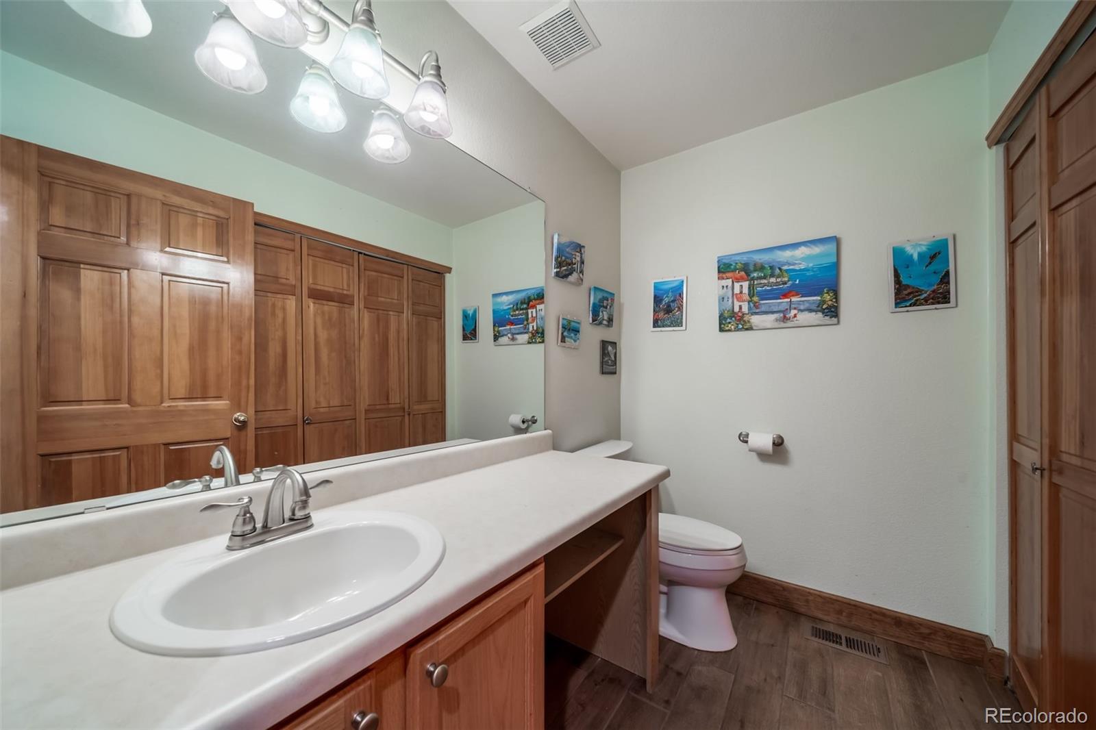 11217 Vilas Street Parker CO 80134