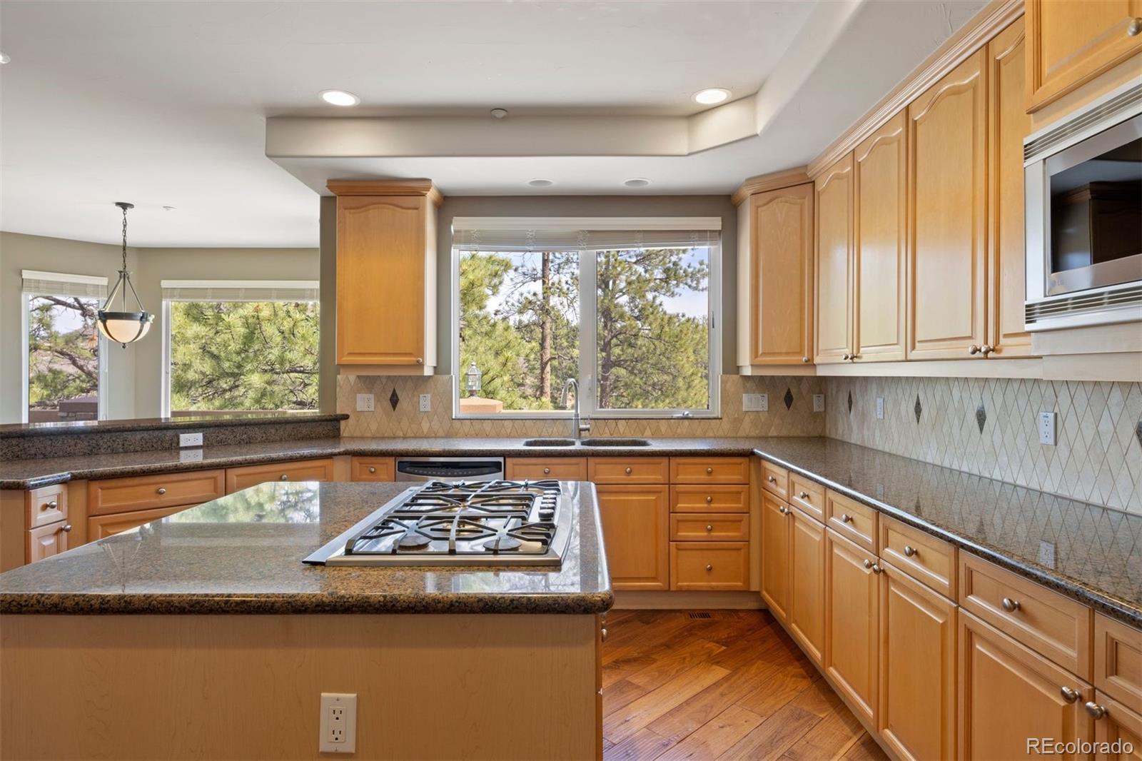 4730 Tierra Alta Drive Castle Rock CO 80104