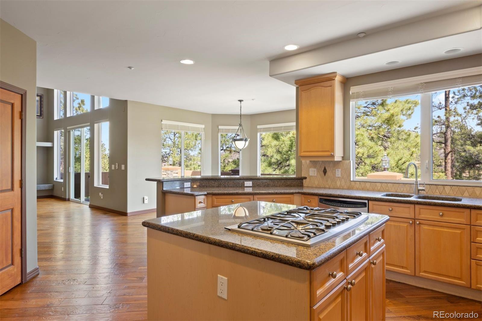 4730 Tierra Alta Drive Castle Rock CO 80104