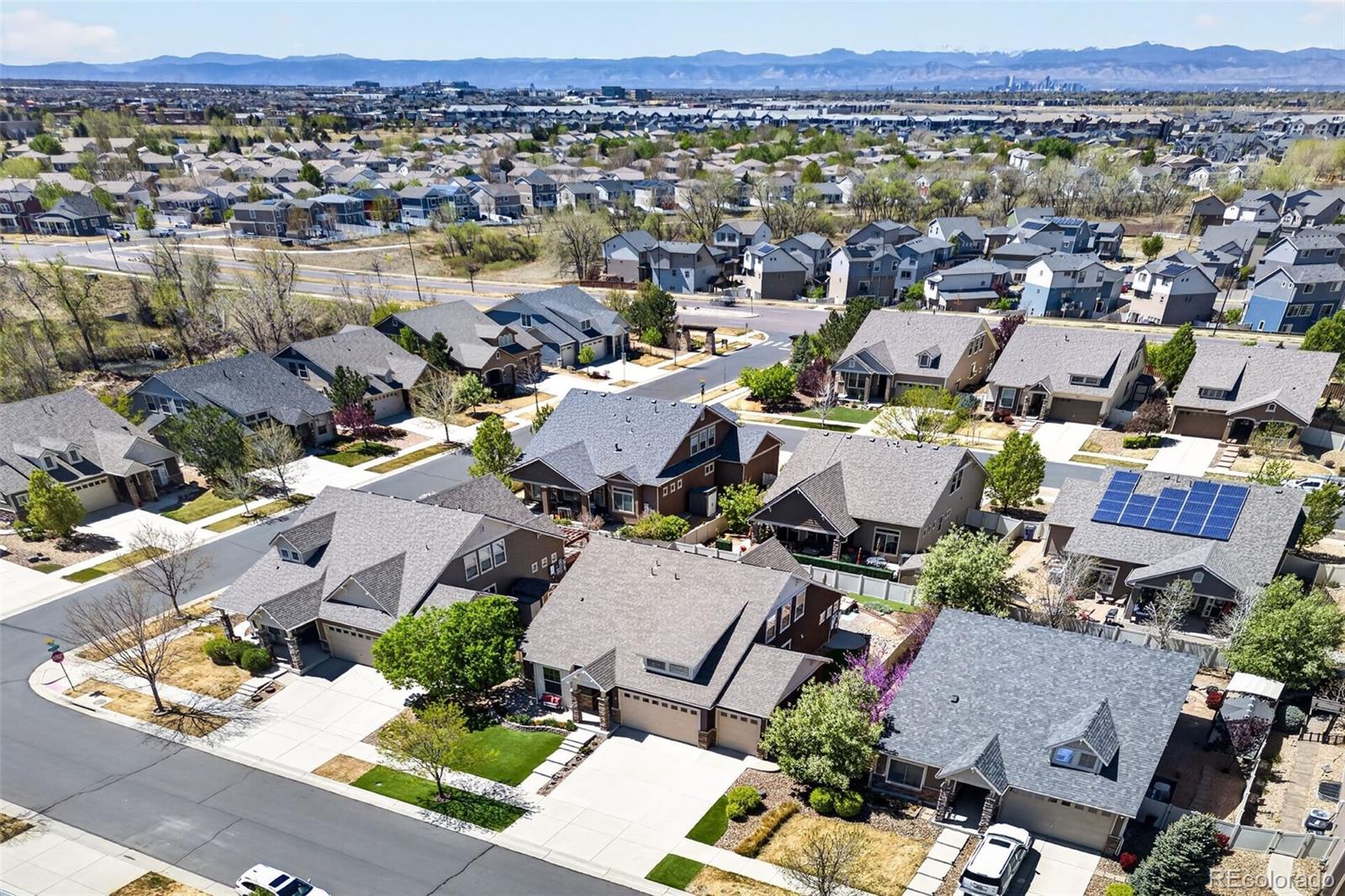 5461 Ensenada Court Denver CO 80249