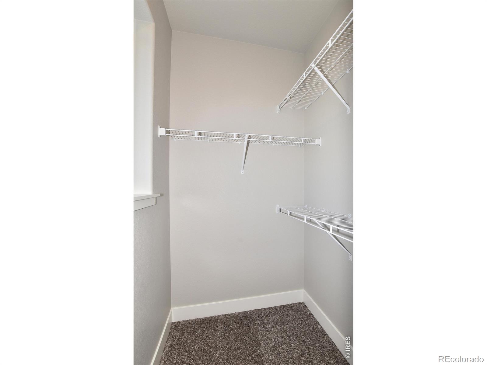 1189 Crown Sparrow Street Johnstown CO 80534