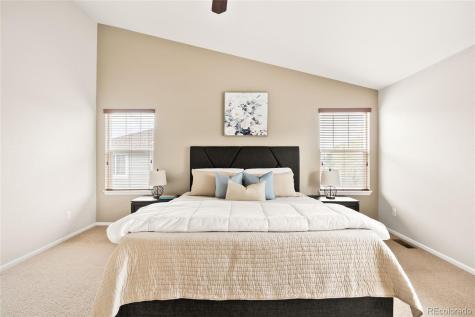 4028 Eagle Tail Lane Castle Rock CO 80104
