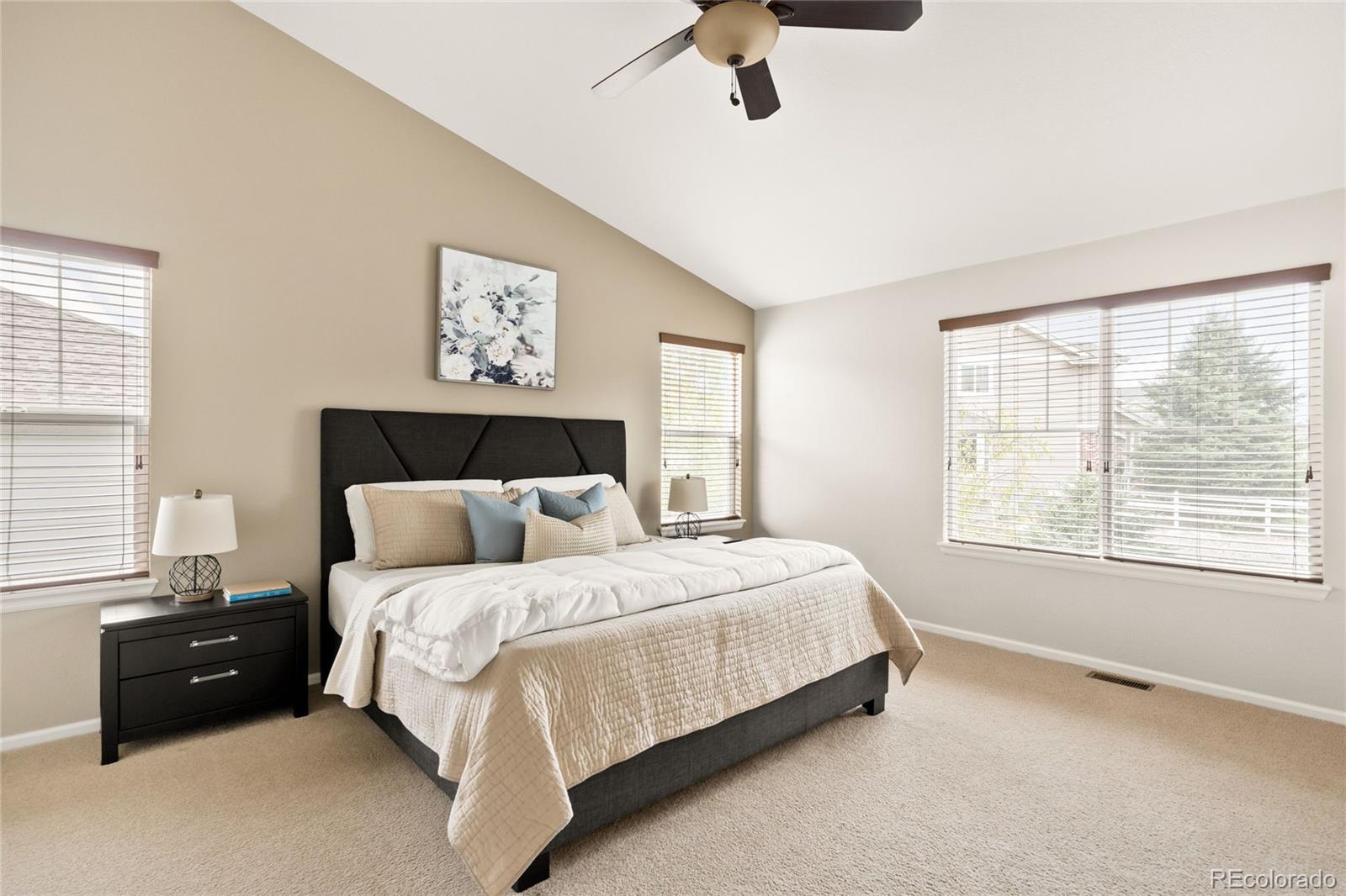 4028 Eagle Tail Lane Castle Rock CO 80104