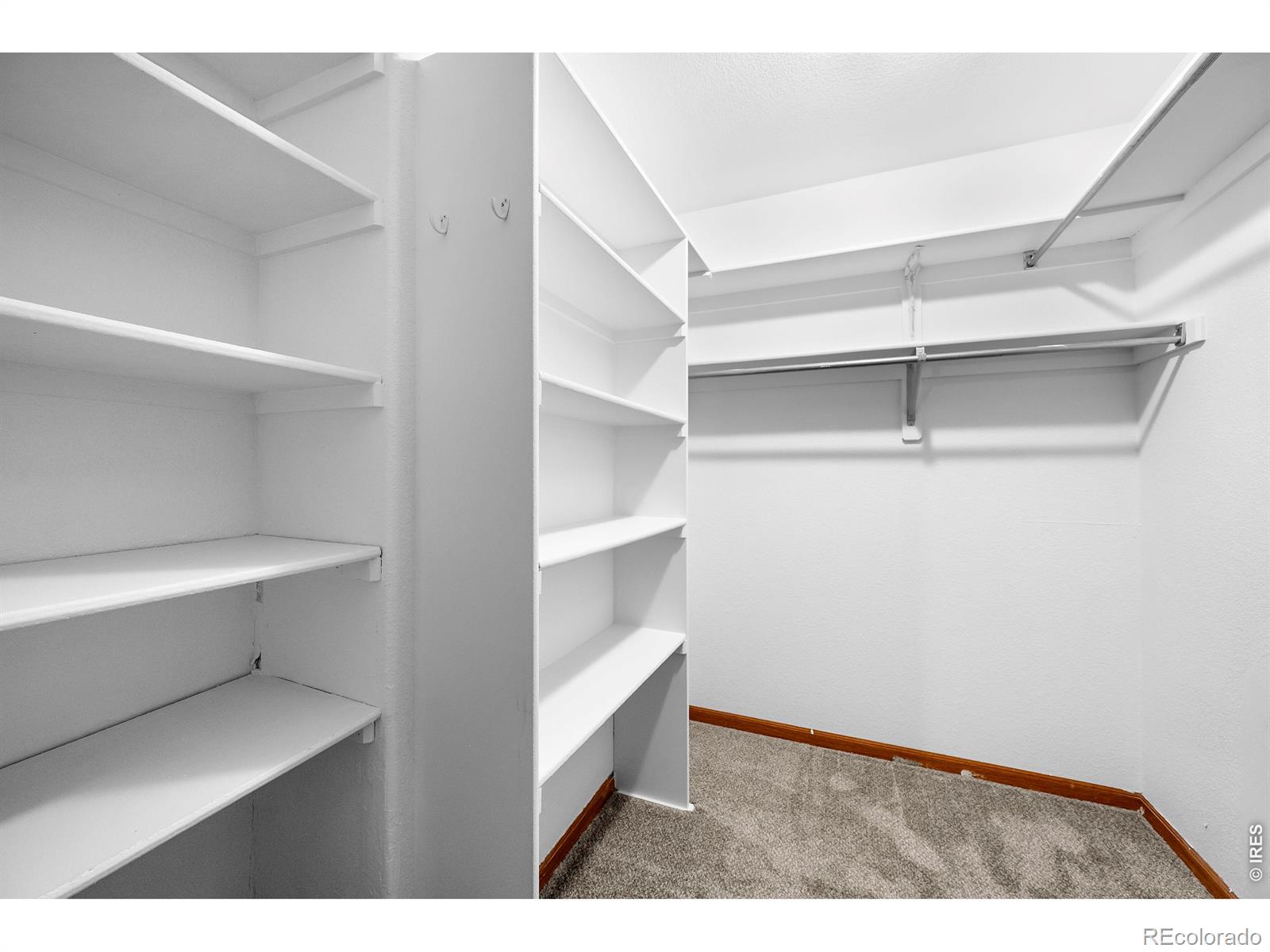 2105 Kiersi Court Johnstown CO 80534