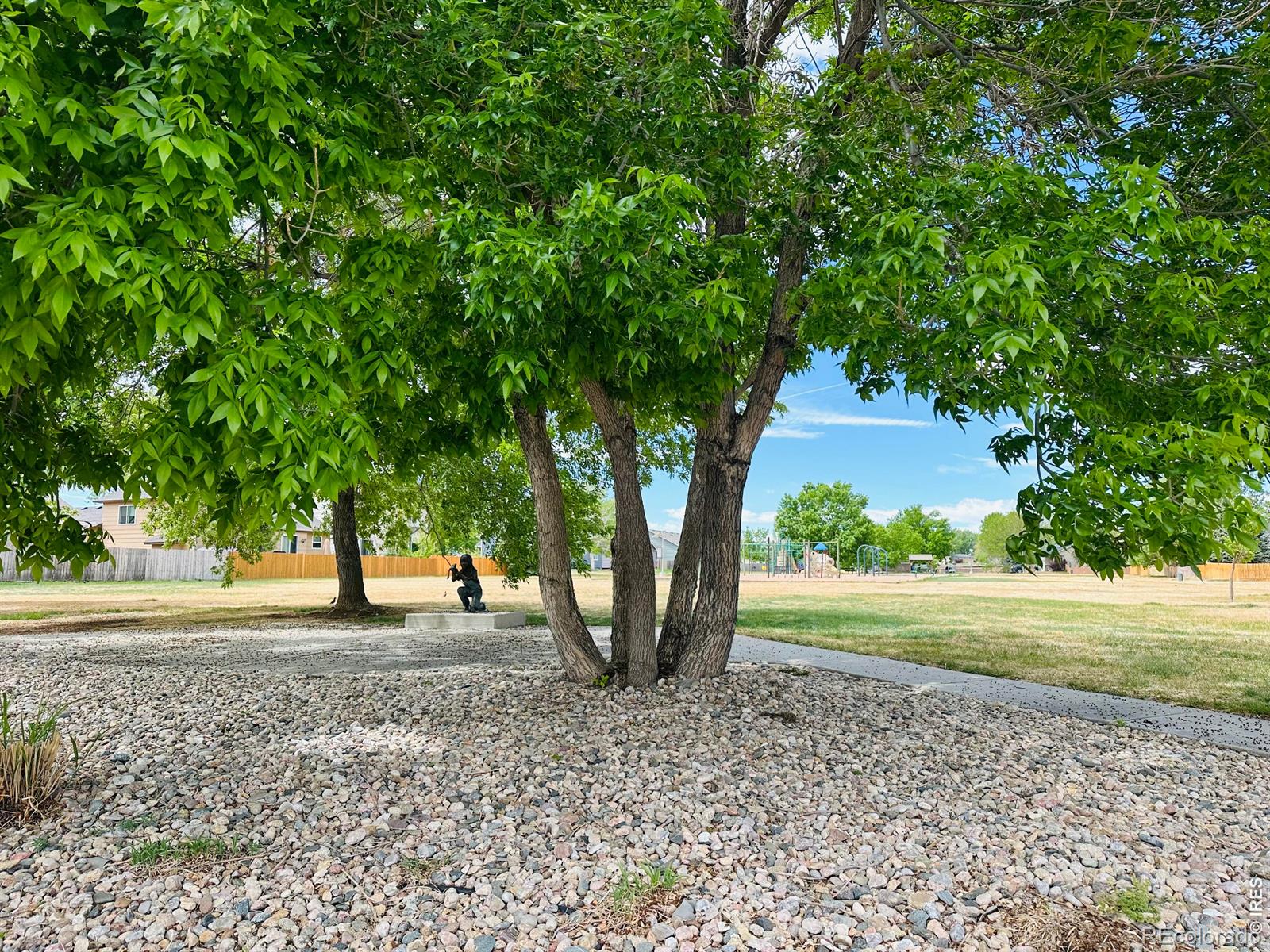 2105 Kiersi Court Johnstown CO 80534