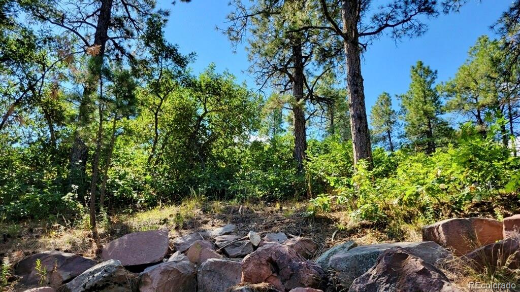 8946 Cottonwood Drive Beulah CO 81023