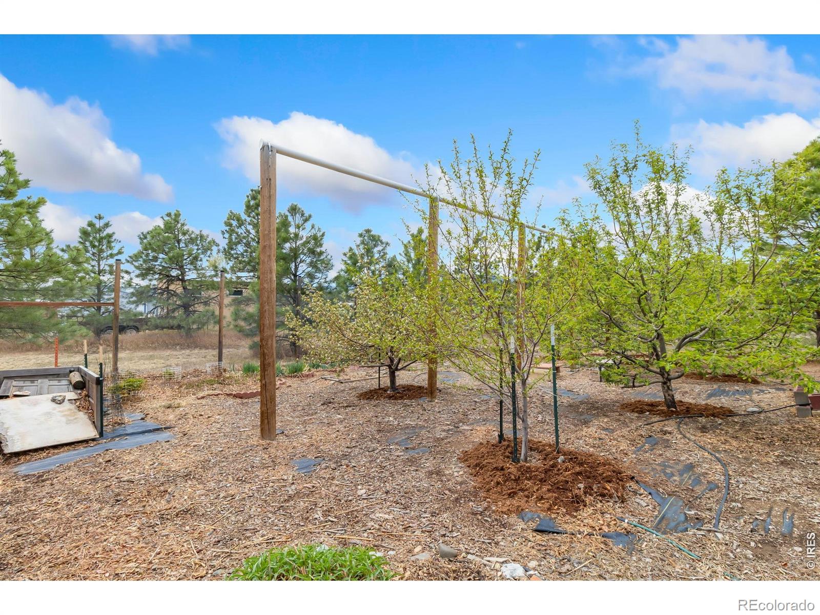 4608 Norwood Avenue Loveland CO 80538