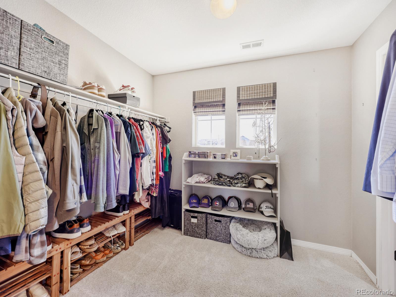 2964 Whitewing Way Castle Rock CO 80108