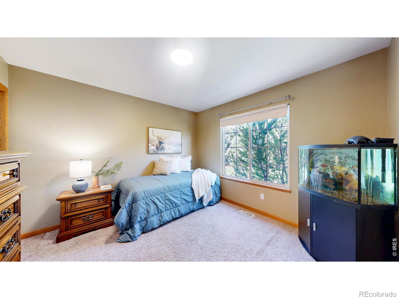 1104 San Miguel Drive Severance CO 80550