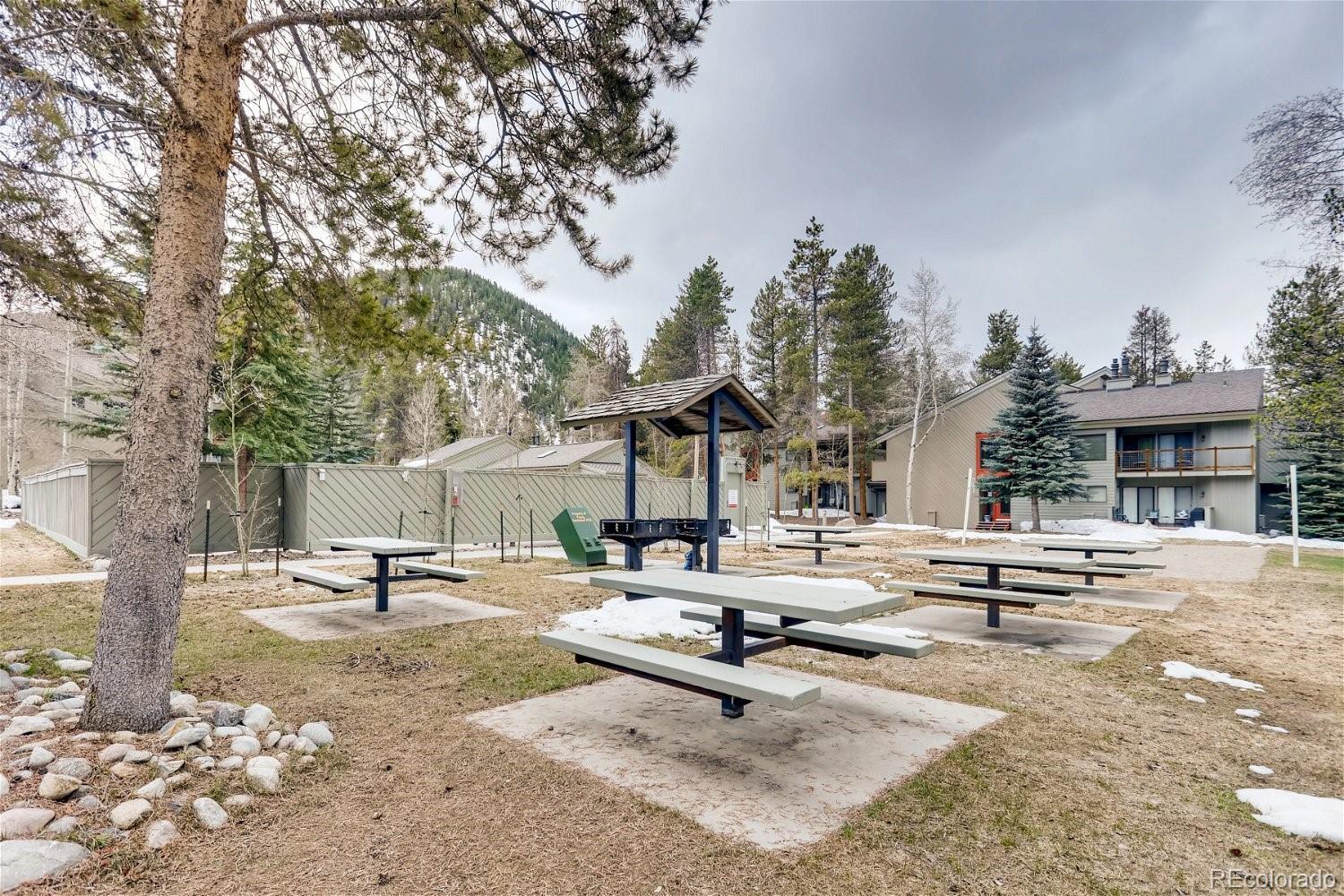 1937 Soda Ridge Road Dillon CO 80435