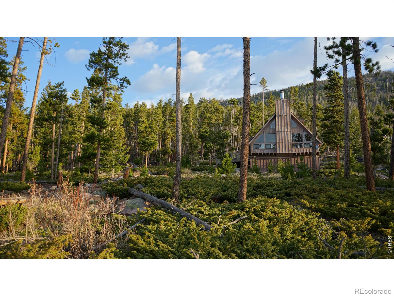 321 Tonkawa Drive Red Feather Lakes CO 80545