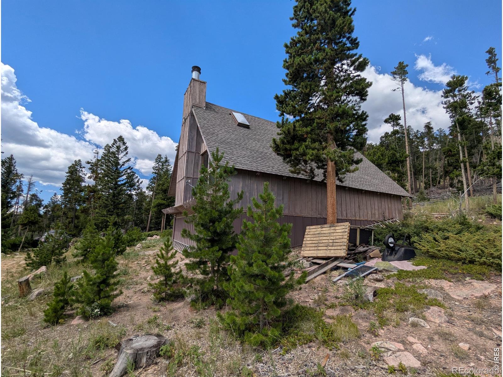 321 Tonkawa Drive Red Feather Lakes CO 80545