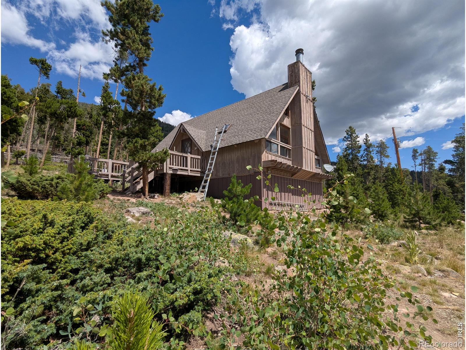 321 Tonkawa Drive Red Feather Lakes CO 80545