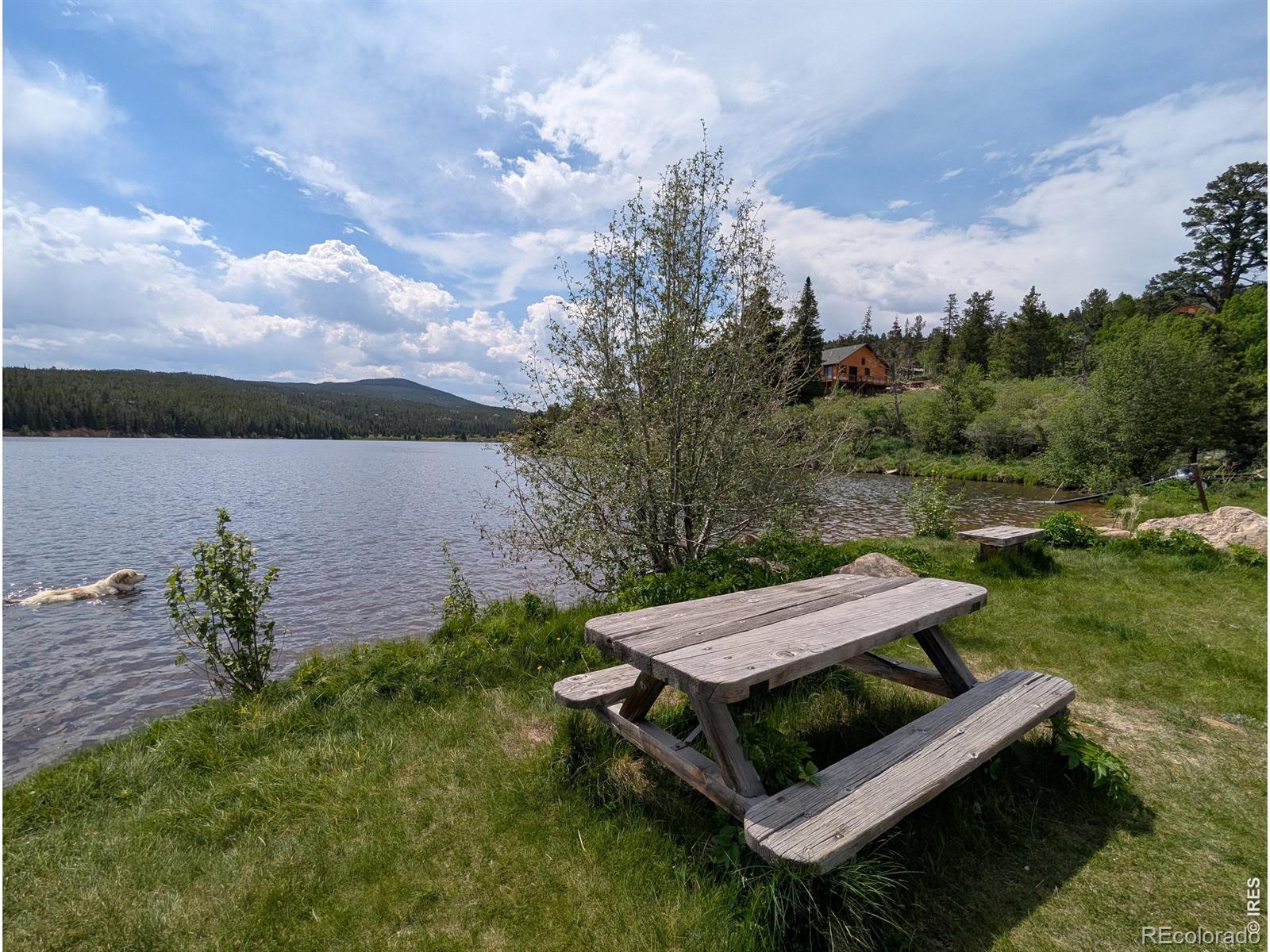 321 Tonkawa Drive Red Feather Lakes CO 80545
